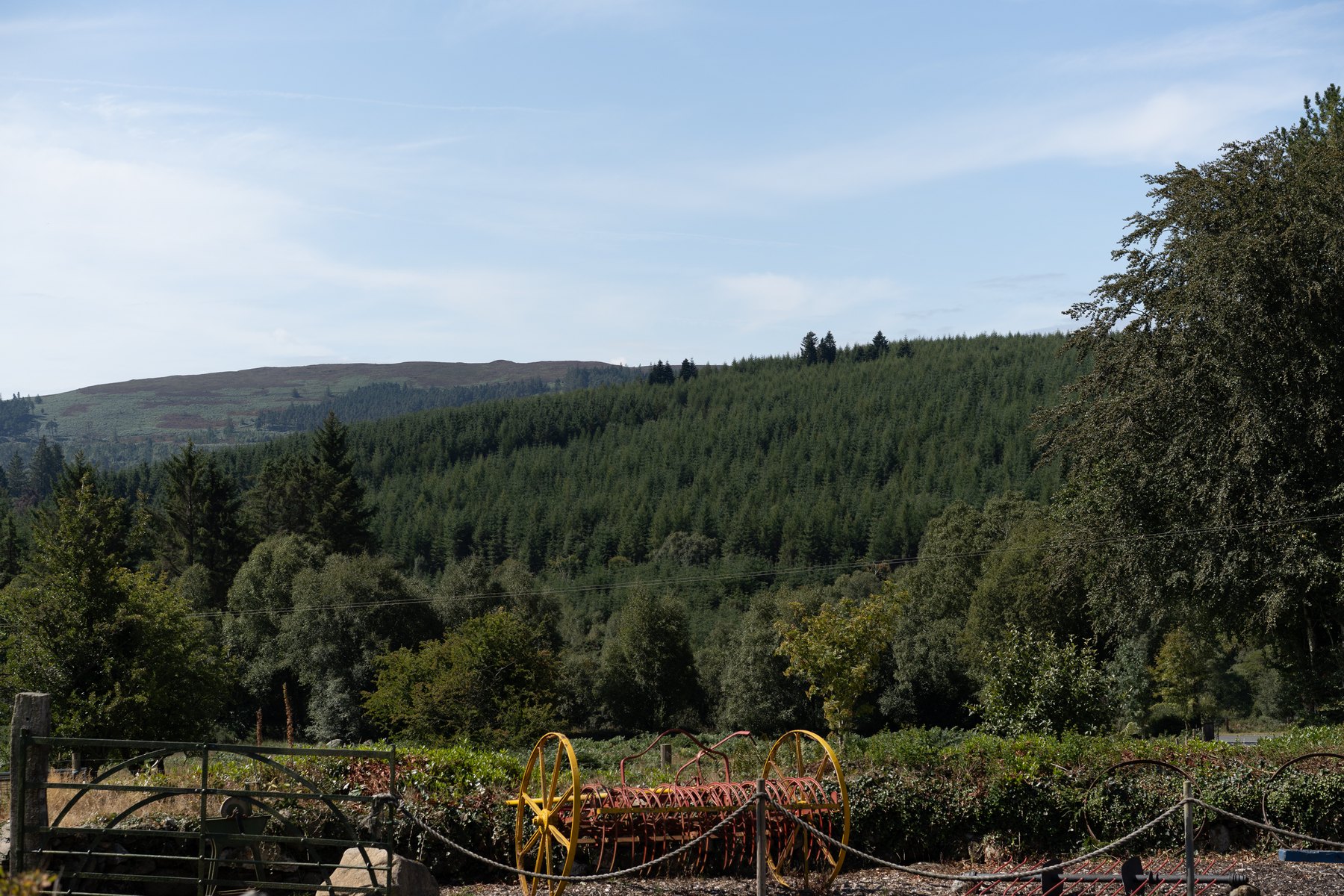 Countryside views at Cullen's Sheep Farm