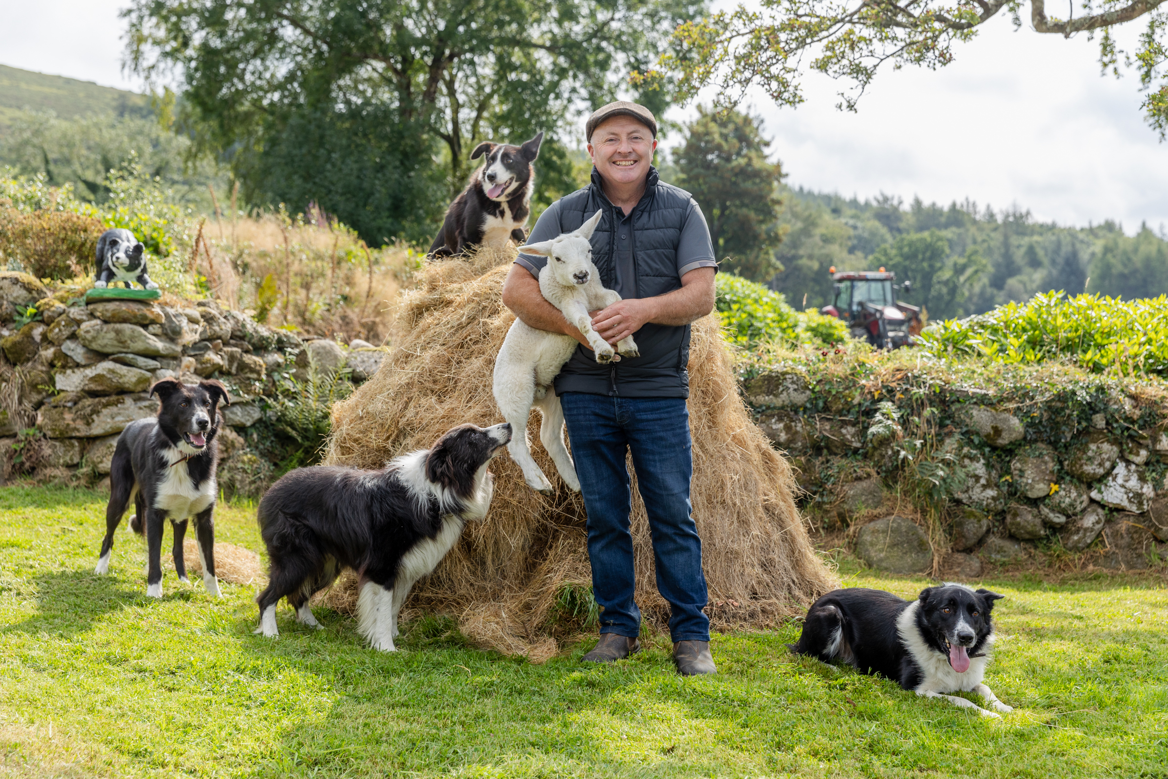 Irish Sheepdog demonstration and traditional farm life at Cullen's Sheep Farm in Wicklow